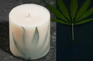 TL Candles Vela de soja con aroma de salvia XL