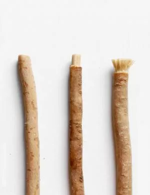 Yoni Cepillo de dientes natural de Salvadora persica (separado)