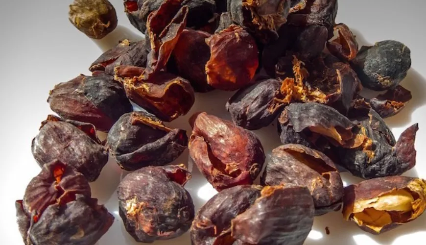 Descubre la magia de la cascara y sus beneficios