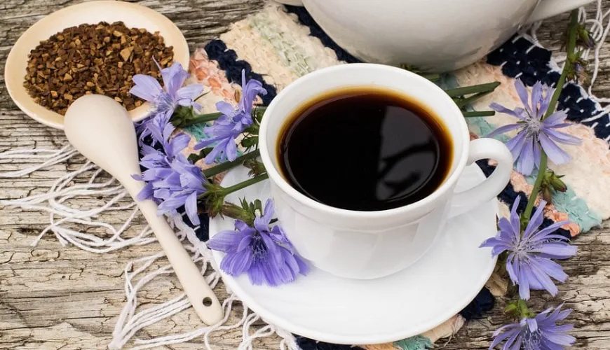 Los efectos del café de achicoria que apoyarán su salud