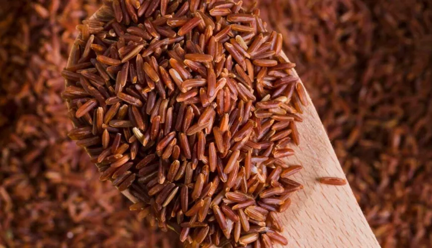 Todo sobre el arroz integral y su impacto en tu salud