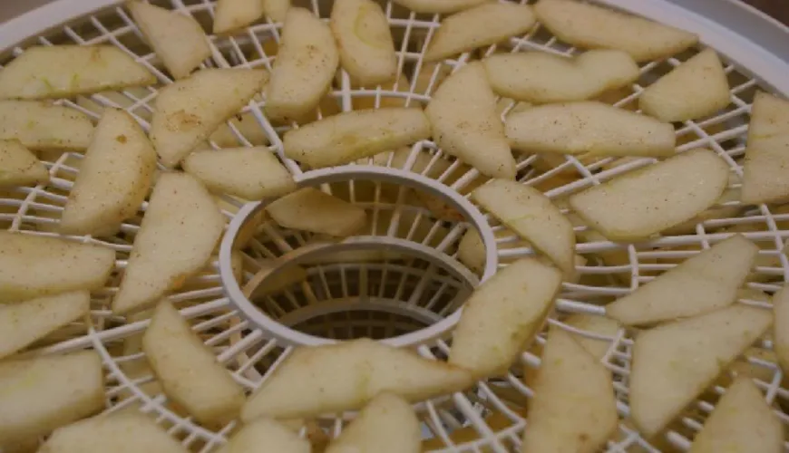 Cómo hacer las perfectas rodajas de manzana secas directamente del deshidratador