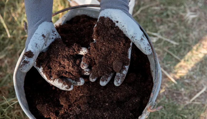 Obtén compost de calidad gracias al activador