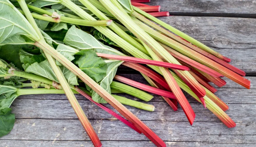 Por qué el ruibarbo es ideal para una cocina saludable