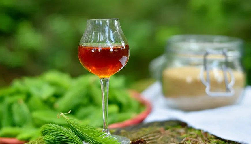 Jarabe de agujas de pino - descubre la fuerza del bosque para tu salud