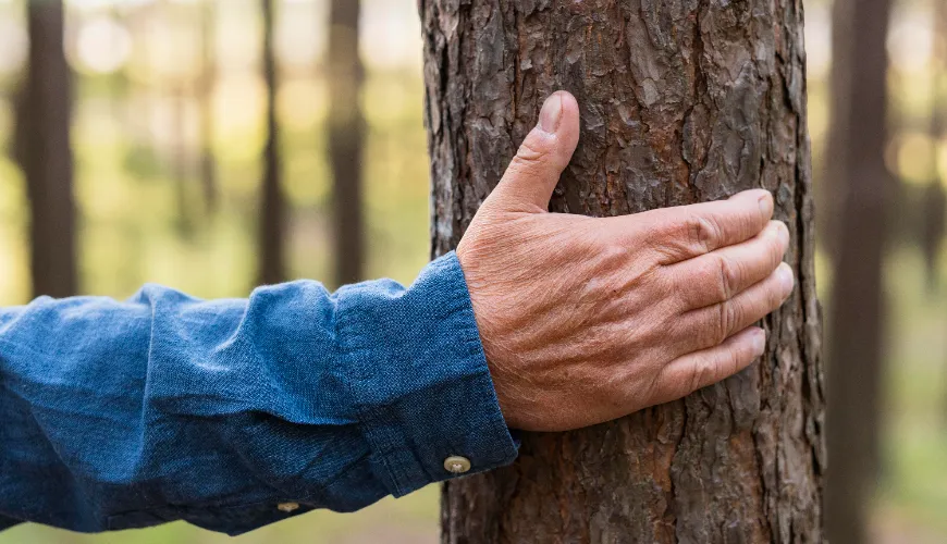 Consejos comprobados para quitar la resina de los tejidos