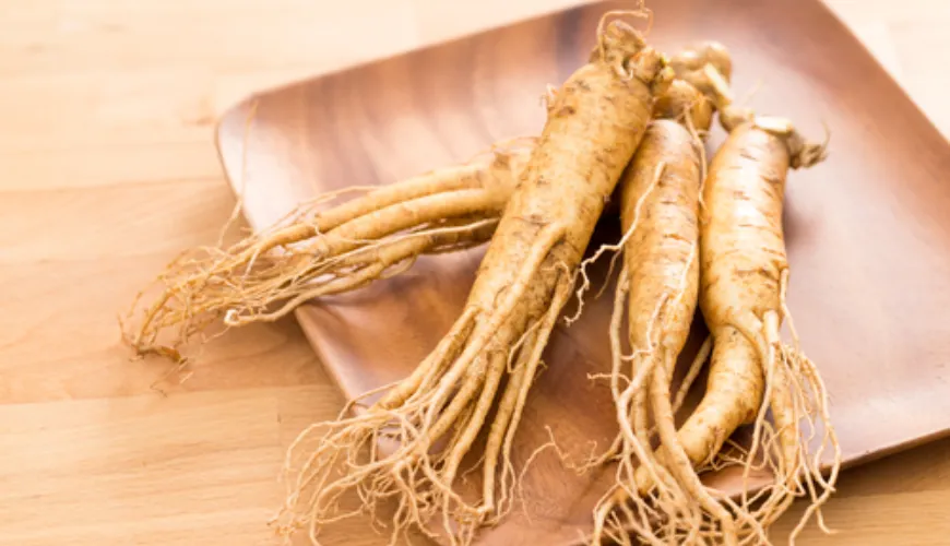 ¿Qué ginseng te dará energía y mejorará tu rendimiento?